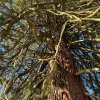 11 b Rund um Ellwangen